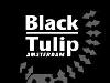 Black Tulip Hotel ends