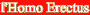 logo Homo Erectus