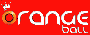 logo Orange Ball