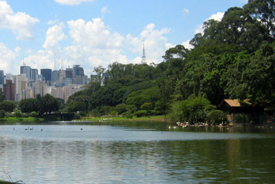 <b>Sao Paulo</b> gay guide