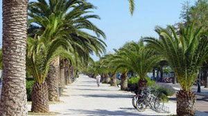 san benedetto del tronto gay personals Mappa di battuage a san benedetto del tronto (marche - ascoli piceno) con aree e zone gay dove è possibile praticare battuage e cruising. san benedetto del tronto gay personals Mappa di battuage a san benedetto del tronto (marche - ascoli piceno) con aree e zone gay dove è possibile praticare battuage e cruising.