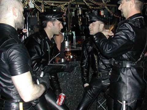 carol castro shemale brazilian gay dvd trailers