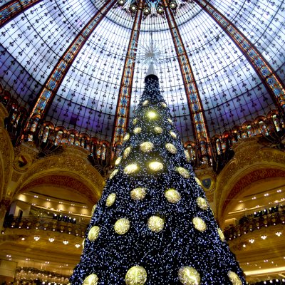 large Christmas tree in La Fayette