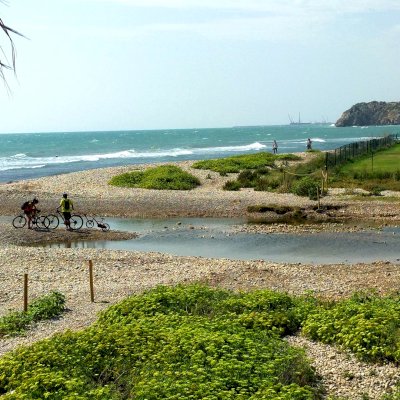 beach with sea and coastline