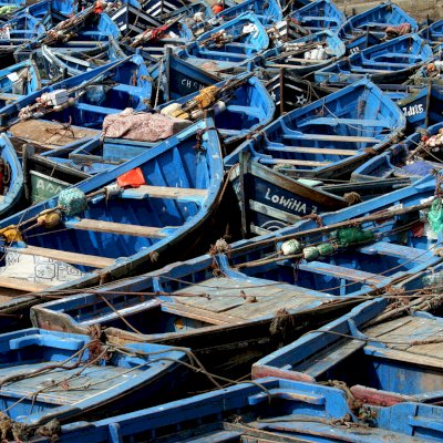 blue fishing boats