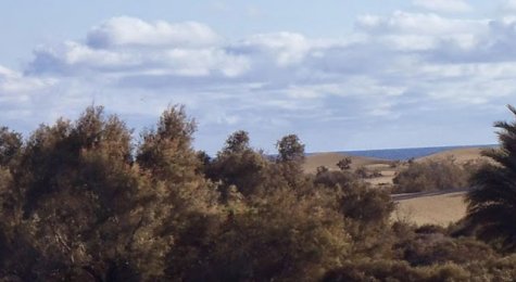 Dunes Maspalomas