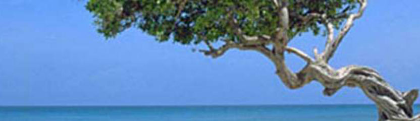 Aruba