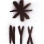 logo Club NYX