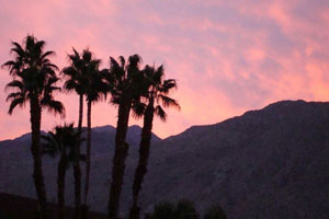 Palm Springs